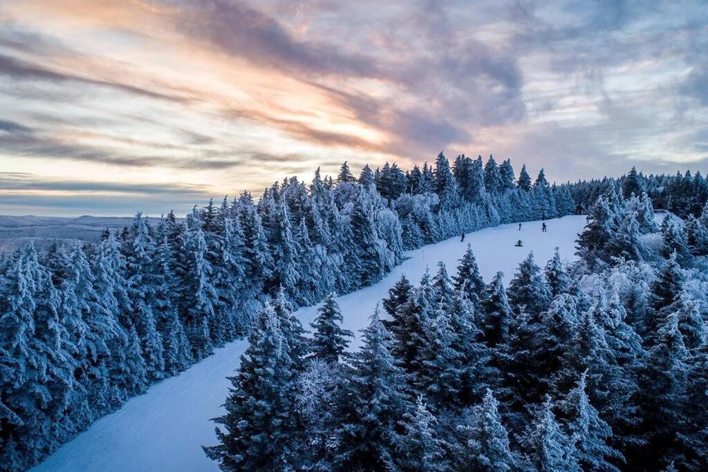 Mountain Lodge Getaway, Ski-In/Ski-Out, Heart Of The Village Snowshoe Exterior foto
